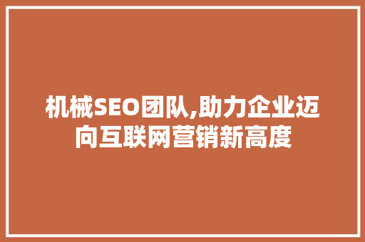 机械SEO团队,助力企业迈向互联网营销新高度
