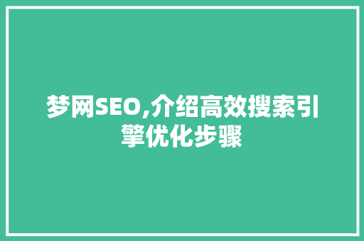 梦网SEO,介绍高效搜索引擎优化步骤