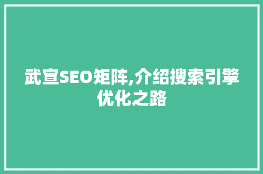 武宣SEO矩阵,介绍搜索引擎优化之路