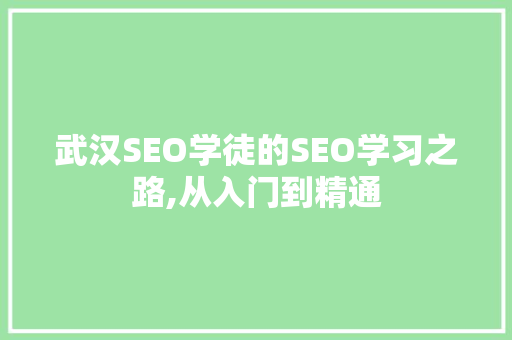 武汉SEO学徒的SEO学习之路,从入门到精通