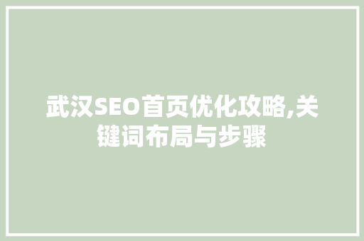 武汉SEO首页优化攻略,关键词布局与步骤