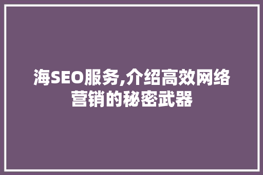 海SEO服务,介绍高效网络营销的秘密武器