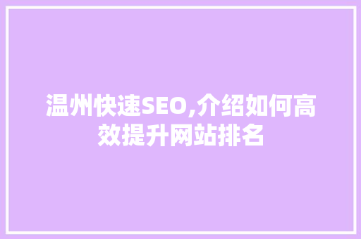 温州快速SEO,介绍如何高效提升网站排名