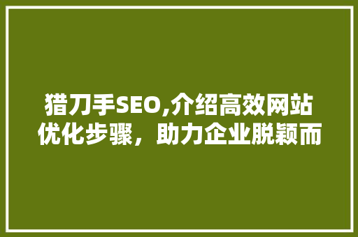猎刀手SEO,介绍高效网站优化步骤，助力企业脱颖而出