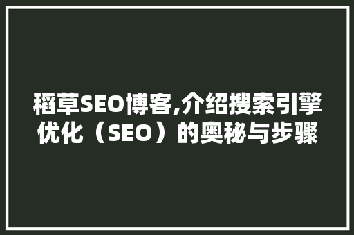 稻草SEO博客,介绍搜索引擎优化（SEO）的奥秘与步骤