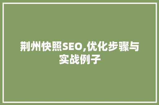 荆州快照SEO,优化步骤与实战例子