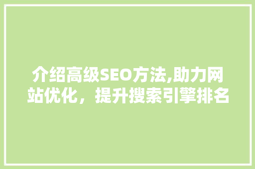 介绍高级SEO方法,助力网站优化，提升搜索引擎排名