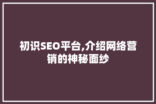 初识SEO平台,介绍网络营销的神秘面纱