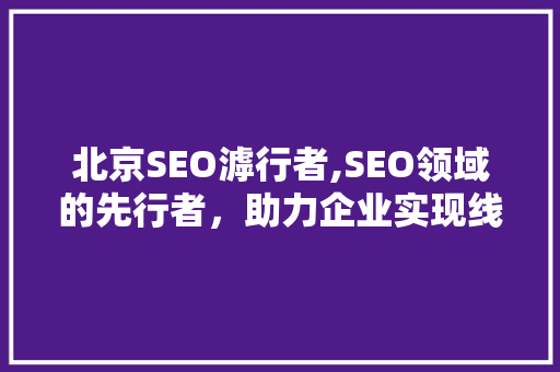 北京SEO滹行者,SEO领域的先行者，助力企业实现线上飞跃