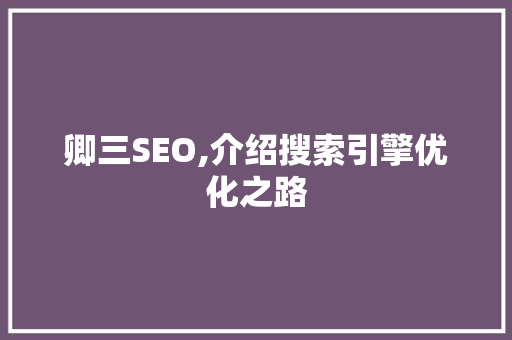 卿三SEO,介绍搜索引擎优化之路