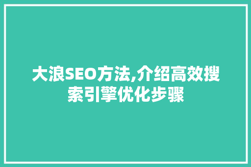 大浪SEO方法,介绍高效搜索引擎优化步骤