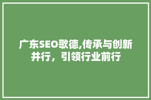广东SEO歌德,传承与创新并行，引领行业前行