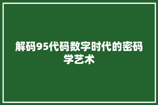 解码95代码数字时代的密码学艺术