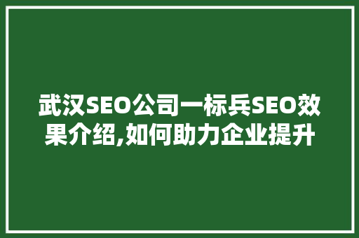 武汉SEO公司一标兵SEO效果介绍,如何助力企业提升在线竞争力