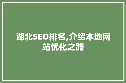 湖北SEO排名,介绍本地网站优化之路