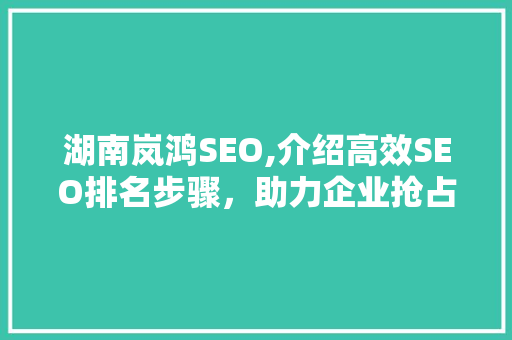湖南岚鸿SEO,介绍高效SEO排名步骤，助力企业抢占网络市场先机