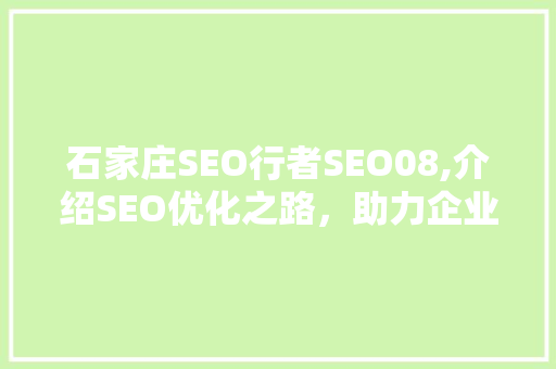 石家庄SEO行者SEO08,介绍SEO优化之路，助力企业腾飞
