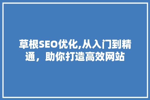 草根SEO优化,从入门到精通，助你打造高效网站