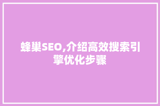 蜂巢SEO,介绍高效搜索引擎优化步骤