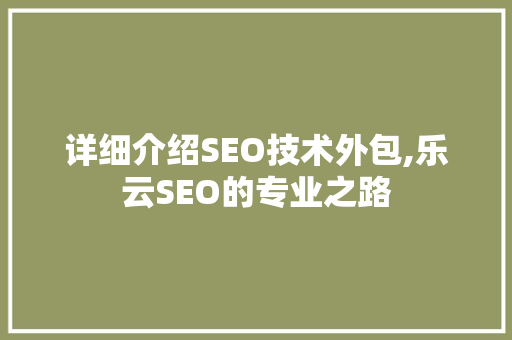 详细介绍SEO技术外包,乐云SEO的专业之路