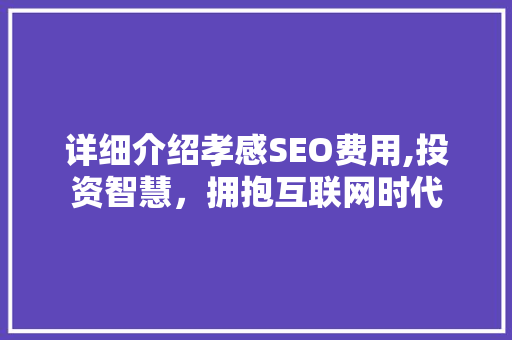 详细介绍孝感SEO费用,投资智慧，拥抱互联网时代