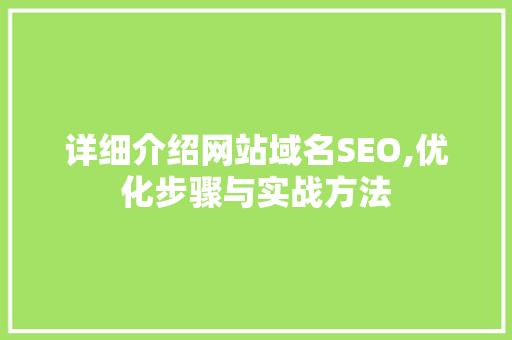 详细介绍网站域名SEO,优化步骤与实战方法