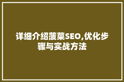 详细介绍菠菜SEO,优化步骤与实战方法