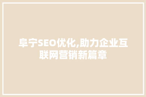 阜宁SEO优化,助力企业互联网营销新篇章  第1张