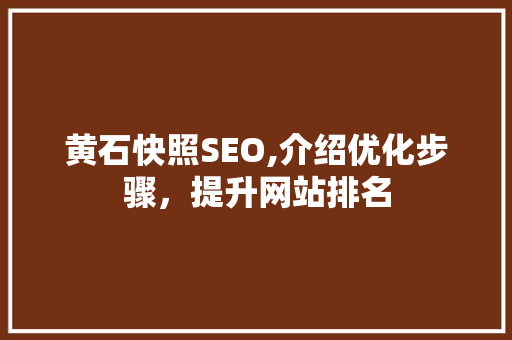 黄石快照SEO,介绍优化步骤，提升网站排名
