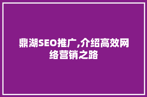 鼎湖SEO推广,介绍高效网络营销之路