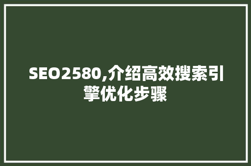 SEO2580,介绍高效搜索引擎优化步骤