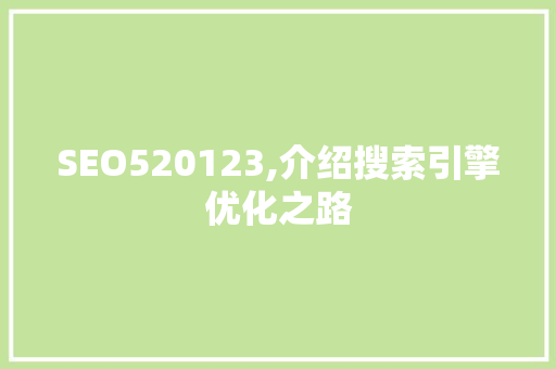 SEO520123,介绍搜索引擎优化之路