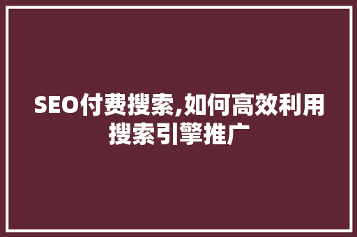 SEO付费搜索,如何高效利用搜索引擎推广