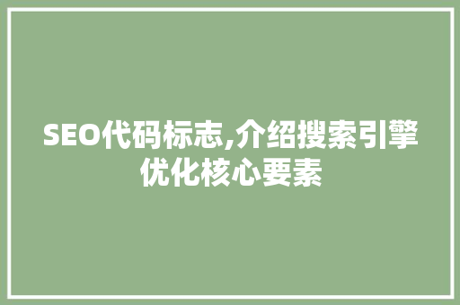 SEO代码标志,介绍搜索引擎优化核心要素