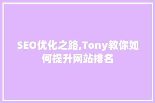 SEO优化之路,Tony教你如何提升网站排名