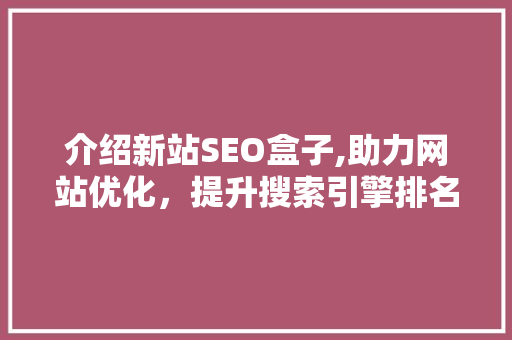 介绍新站SEO盒子,助力网站优化，提升搜索引擎排名