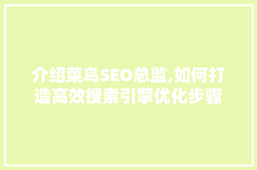 介绍菜鸟SEO总监,如何打造高效搜索引擎优化步骤  第1张