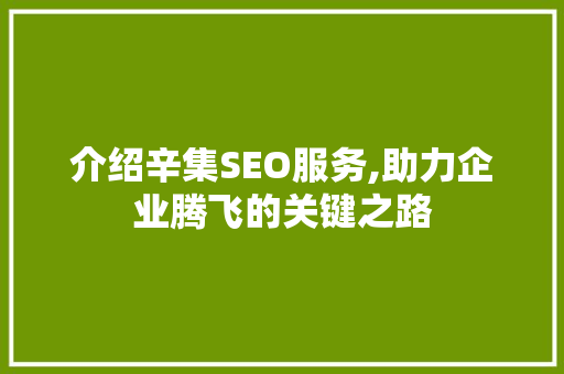 介绍辛集SEO服务,助力企业腾飞的关键之路