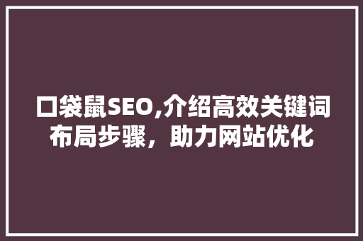 口袋鼠SEO,介绍高效关键词布局步骤，助力网站优化