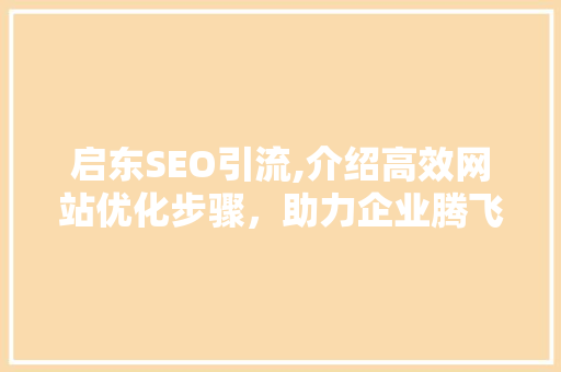 启东SEO引流,介绍高效网站优化步骤，助力企业腾飞