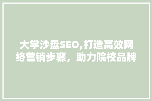 大学沙盘SEO,打造高效网络营销步骤，助力院校品牌崛起