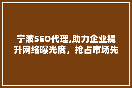 宁波SEO代理,助力企业提升网络曝光度，抢占市场先机