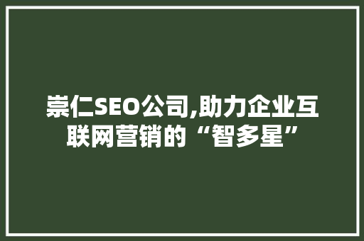 崇仁SEO公司,助力企业互联网营销的“智多星”