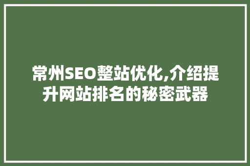 常州SEO整站优化,介绍提升网站排名的秘密武器