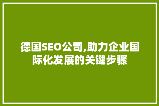 德国SEO公司,助力企业国际化发展的关键步骤