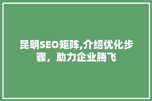 昆明SEO矩阵,介绍优化步骤，助力企业腾飞