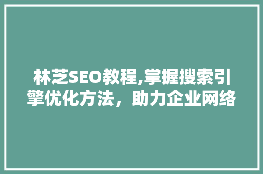 林芝SEO教程,掌握搜索引擎优化方法，助力企业网络营销