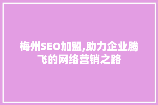 梅州SEO加盟,助力企业腾飞的网络营销之路