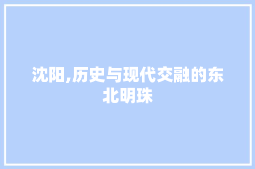 沈阳,历史与现代交融的东北明珠