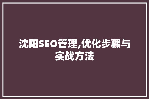沈阳SEO管理,优化步骤与实战方法